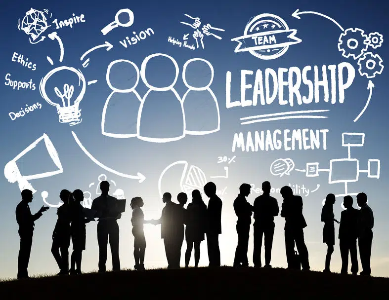 Quels sont les métiers du management ?