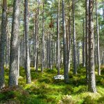 Quelles sont les formations possibles pour les métiers de la transition écologique ?